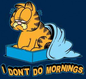 Garfield T-shirt: I Don't Do Mornings - Navy Blue - Adult, Ladies ...