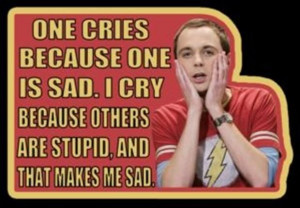 ... big-bang-theory-pictures-30-pics/attachment/funny-sheldon-cooper