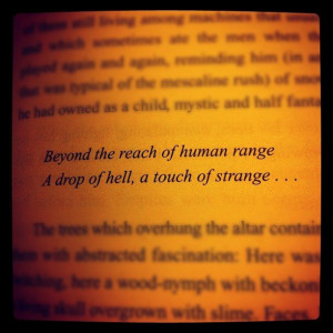 Dark Tower ~ gunslinger