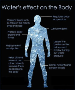 Water's Effect on the Body...
