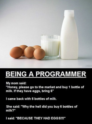 The life of a programmer