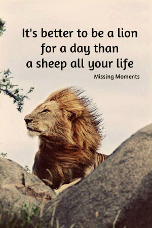 It’s better to be a lion for a day than….