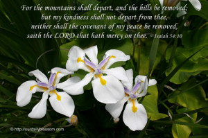 the mountains shall depart, and the hills be removed; but my kindness ...