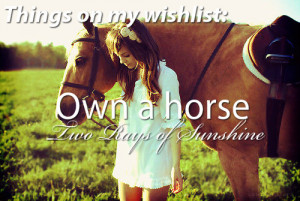 Own Horse Things Wishlist Wish