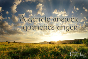 gentle Answer quenches Anger”