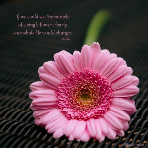 If we could see the miracle of a single flower clearly our whole life ...