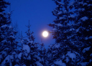 The full moon rises over Tok, Alaska