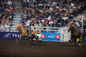 Farmfair Team Roping