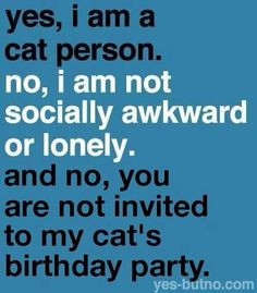 ... party cat person cat lovers cat ladi cats quotes catperson cat lady