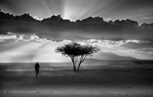 Go Back > Gallery For > Solitude Photography