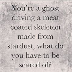 you're a ghost driving a meat coated skeleton made from stardust ...