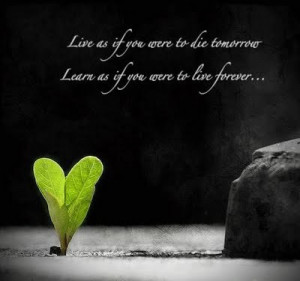 Live as if - quotes Photo