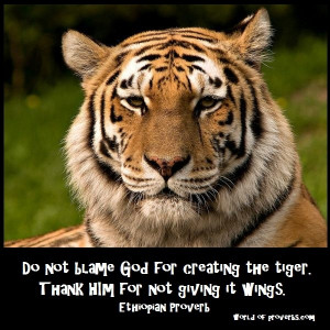 - Famous Quotes: Do not blame God for having created the tiger ...