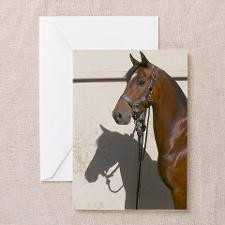 Morgan Horse Greeting Cards