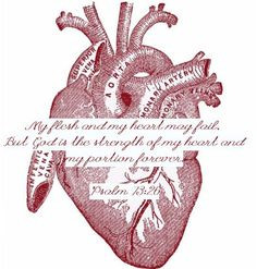 anatomical heart + one of my favorite Bible verses