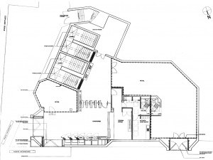 Memento mori- Remember that you are mortal!