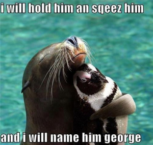 If you enjoyed this, check out our Funny Animals Joke Pics