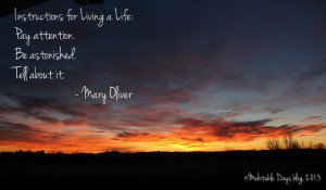 Pretty good instructions for blogging, too! :-)