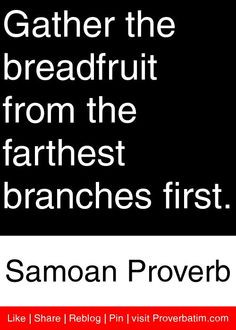 ... from the farthest branches first. - Samoan Proverb #proverbs #quotes