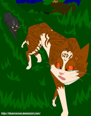 Funny Quotes Contact Us DMCA Notice