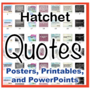 Hatchet Novel Quotes Posters and Powerpoints