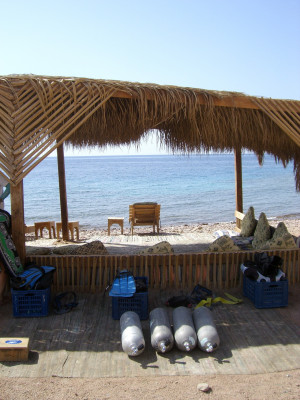 Roy Munson Quotes http://www.pic2fly.com/Roy+Munson+Quotes.html