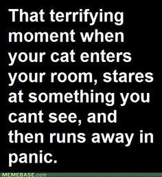 Funny & Insane & True