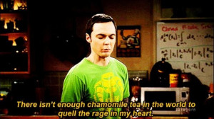 Related Pictures sheldon cooper sheldon cooper quotes the big bang ...