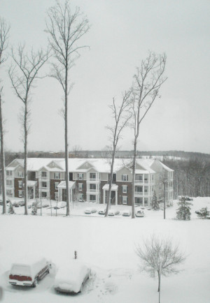 Quotes About Snow Days