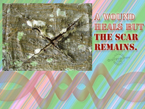 Wound Heals But The Scars Remains.