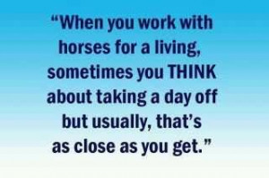 Horse Quotes : Page 3