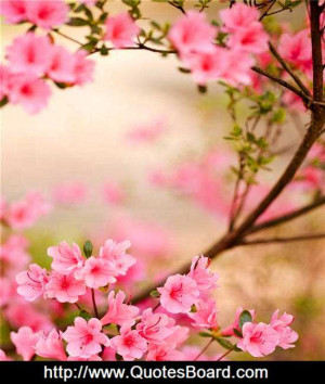 Inspirational Quotes at QuotesBoard