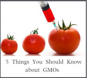 Things-You-Should-Know-about-GMOs.jpg