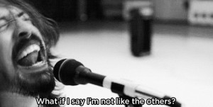 The Foo Fighters Dave Grohl What if I say I'm not like the other ones