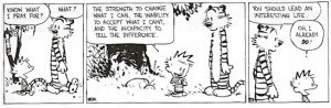 life lesson from Calvin and Hobbes