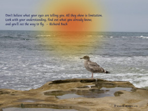 The Picture Of Cute Little Duck With Nice Quote About Life