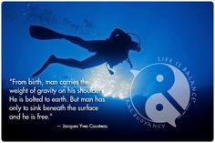 Quotes About Scuba Diving | Inspirational #scuba #diving #quote ...