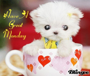 Have A Great Monday