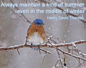 Always maintain a kind of summer quote by Henry David Theoreau