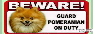 Related Pictures pomeranian wanted poster fridge magnet new dog funny