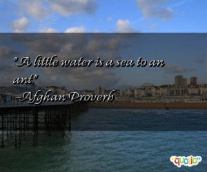 little water is a sea to an ant.