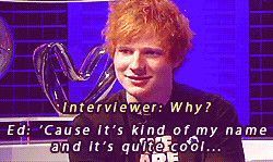 Ed Sheeran Quotes Friendship 1k hahah ed sheeran teddy [Gifs] Blue ...