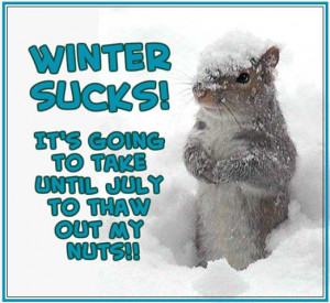 Winter Sucks quotes winter snow funny quotes squirrel winter quotes ...