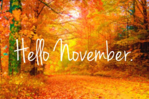 ... centro de la imagen nuevamente el texto que dice “Hello November