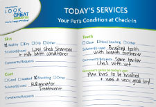 Read What Pet Parents Say About our PetStylists