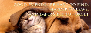 Good Friends Quote Facebook Cover Ulimate Collection Of Top 50 Best ...