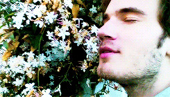 babies pewdiepie Felix Kjellberg cinnamontoastken pewdieken