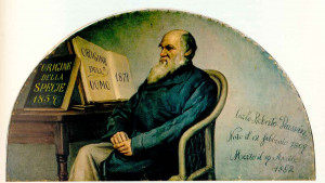 evoluzione dell’idea dell’evoluzione: come Darwin ha cambiato ...