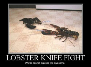 Lobster fighter – funny war