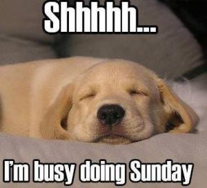 Shhhhh...I'm busy doing Sunday
